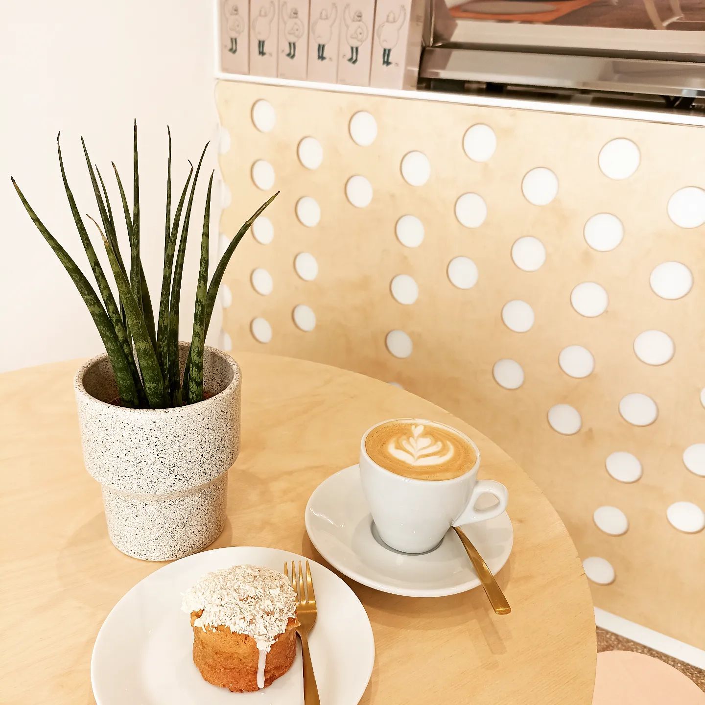 278894732_110427528320523_3140388070705231989_n